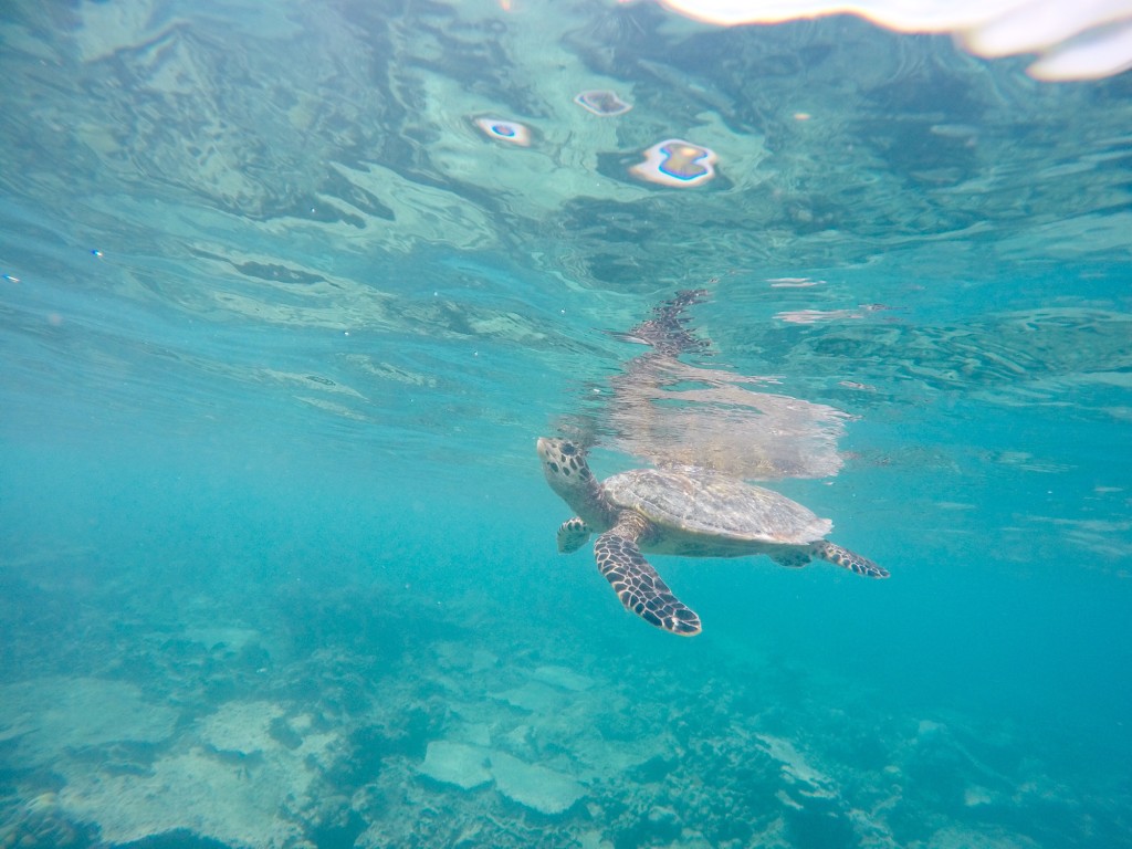 Kandolhu, Maldives