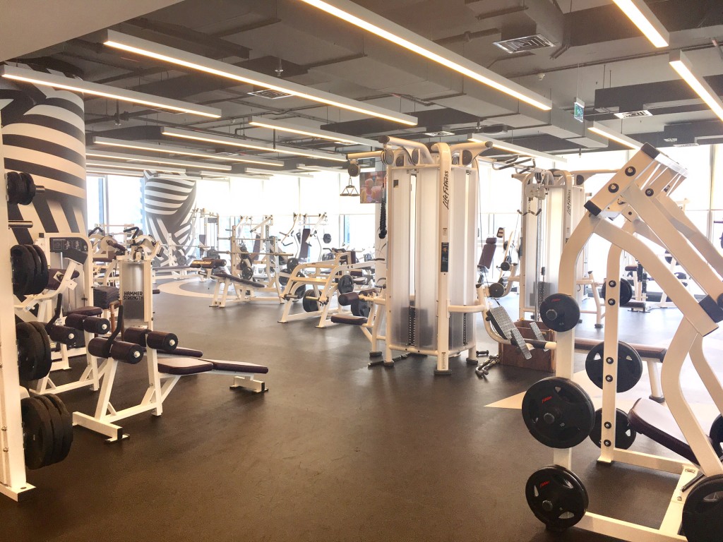 The Gym